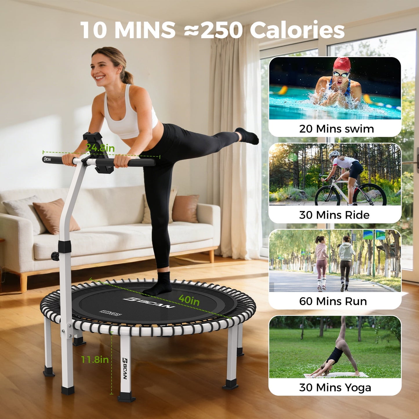 BCAN BT4 40" Pro Fitness Rebounder Trampoline, 500lb Capacity, Adjustable Tension Bungees, Exercise Trampoline for Adults, Phone Holder & 2 Pairs Socks| FED Fitness