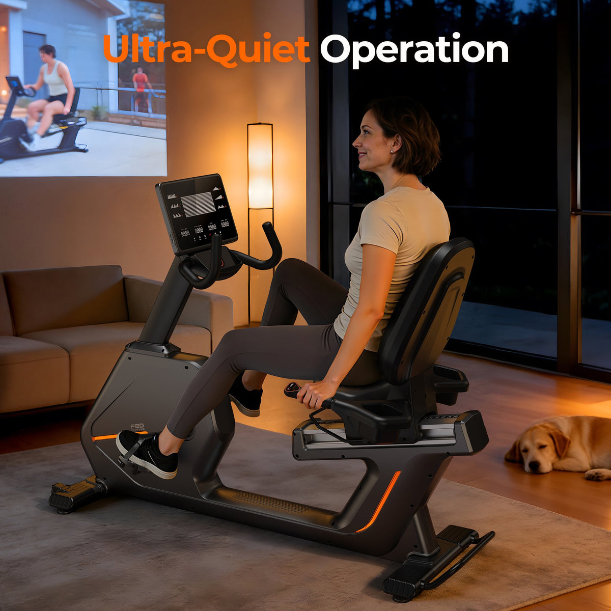 FED Fitness Recumbent Exercise Bike with Arm Workout,Light Commercial Recumbant Bike Magnetic Cross Trainer & Elliptical Machine 400lbs Weight Capacity
