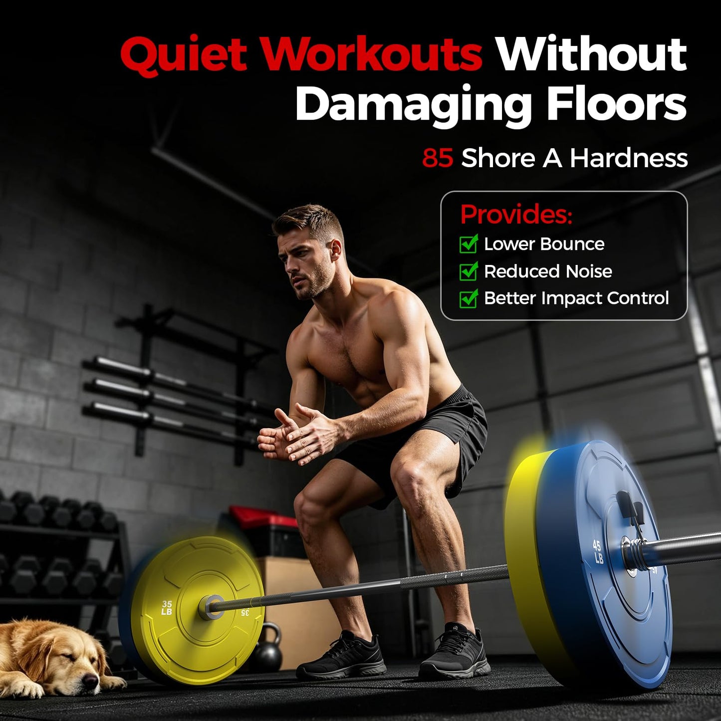 2-Inch Olympic Bumper Plates Set, Colored Virgin Rubber Weight Barbell Plates for Strength Training, Home Gym Weightlifting